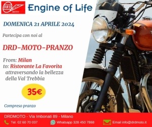 The Spring Ride