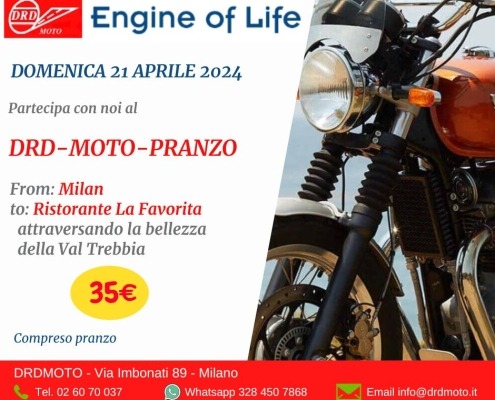 The Spring Ride