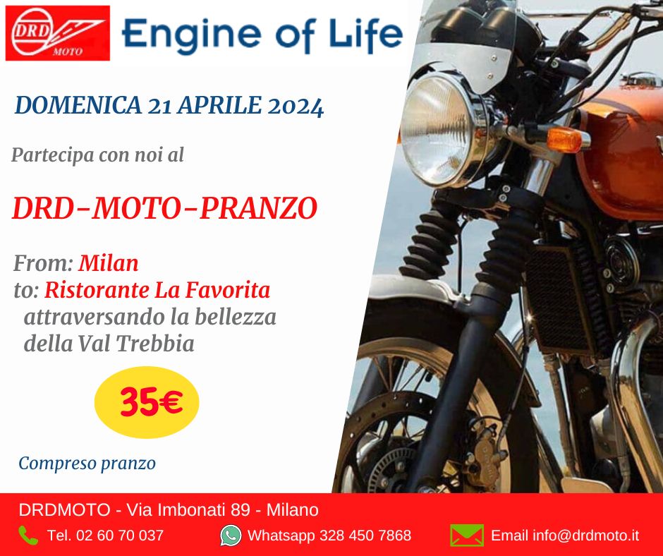 The Spring Ride