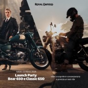 Bear & Classic